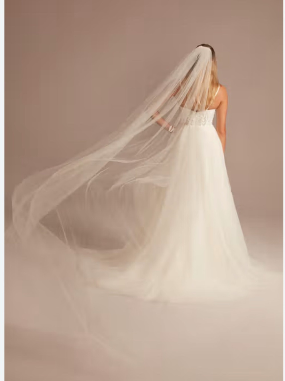 Ivory Tulle Veil